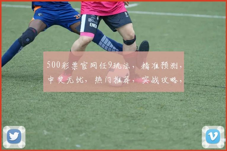 500彩票官网任9玩法，精准预测，中奖无忧，热门推荐，实战攻略，轻松驾驭