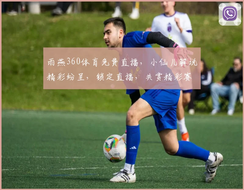 雨燕360体育免费直播，小仙儿解说精彩纷呈，锁定直播，共赏精彩赛事，不容错过
